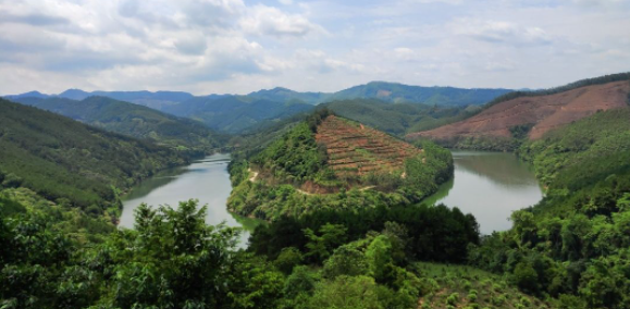 6263abc5bae8b.png 2.png